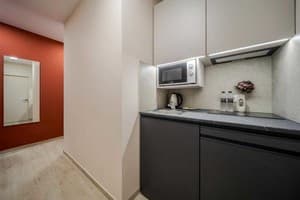 Апарт-отель ACCENT APART HOTEL. Супериор двухместный  10