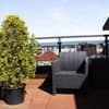 Апарт-отель Amsterdam Lviv Apartments. Люкс 4-местный с террасой 17