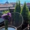 Апарт-отель Amsterdam Lviv Apartments. Люкс 6-местный с террасой 15