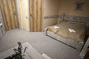 Парк-отель Aquarius Eco-Hotel-Grill-Restaurant. Стандарт двухместный  3