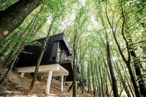 Бухта Викингов 18