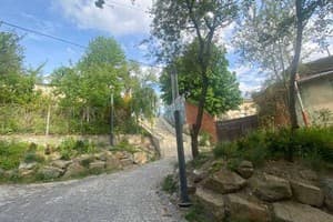 Даниил Галицкий 19