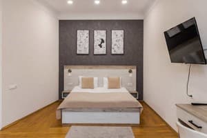 Квартира DeMar Apart Herzena. Апартаменты двухместный DeMar Apart Herzena 3  2
