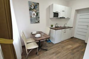 Квартира DeMar Apart Zamknena. Апартаменты двухместный DeMar Apart Zamknena 3 (2+1) 12
