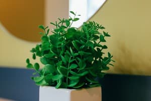 Джем на Гнатюка 22