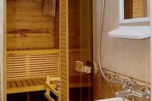 Отель Галиция. Люкс двухместный с сауной 3