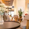 Ibis Lviv Center 6-7/26