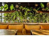Loft7 14