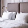 Отель Loft7. Классик двухместный double 5