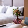 Отель Loft7. Классик двухместный double 2