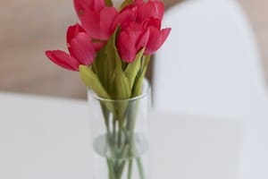 Lviv4U ул. Шпытальная, 13-1 6