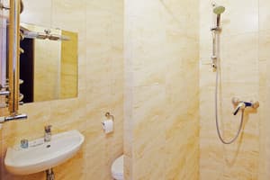 Готельно-ресторанний комплекс Медова Печера. Стандарт тримісний  5