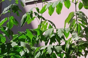 Однокомнатная ул.Городоцкая 53 6