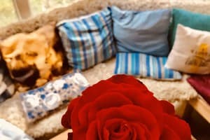 Польська Подушка  6