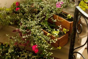 Відень (Зимняя Вода) 1