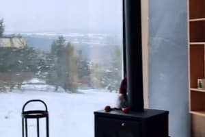 Коттедж Woodland_escape. Коттедж двухместный Wood lodge 9