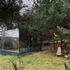 Коттедж Woodland_escape. Коттедж двухместный Wood lodge 18