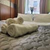 в центре, возле Медицинского университета 10